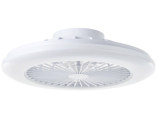 Brilliant plafondventilator Salerno met lamp en RGB functie 40W Wit