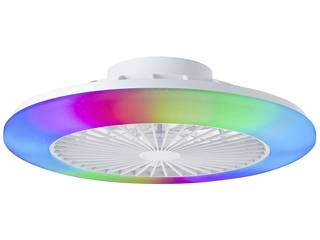 Brilliant plafondventilator Salerno met lamp en RGB functie 40W Wit