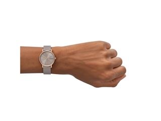 Skagen Signatur Lille SKW3060 Dameshorloge 30 mm Grijs