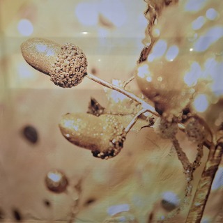 Ca. 17x Decoratiepaneel