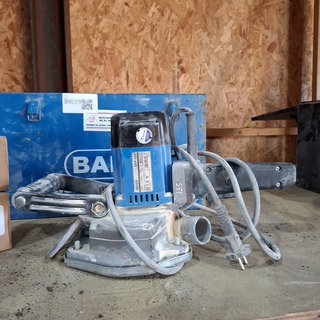 Pleisterfrees Baier, BFF222