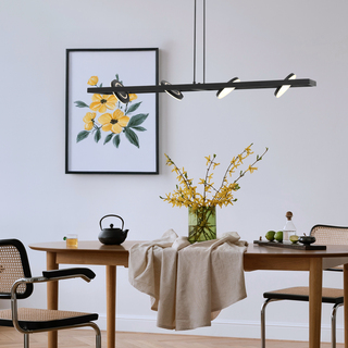 Hanglamp Soleil Steinhauer, 3516ZW, zwart, Nieuw in doos