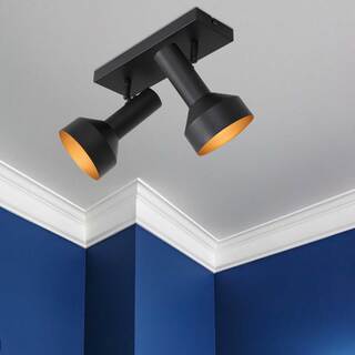 2x Plafond spot Bundle Anne Light, 3336ZW, zwart goud, Nieuw in doos