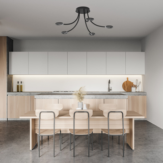 Plafondlamp Turound Steinhauer, 3376ZW, zwart smoke, Nieuw in doos