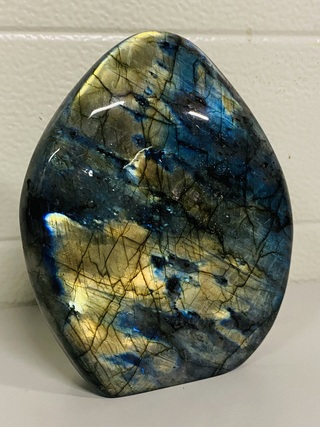 Labradoriet vrije vorm