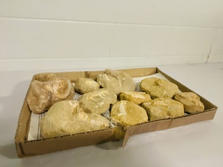 Ca. 11x Fossielen uit marokko