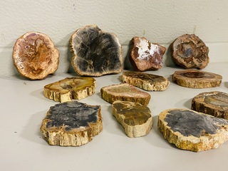 Ca. 14x Versteend hout plakken