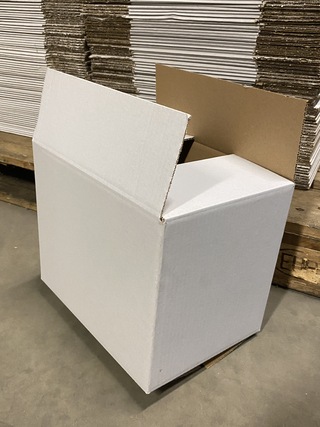 Ca. 190x Verzenddozen 30x22x25cm, wit
