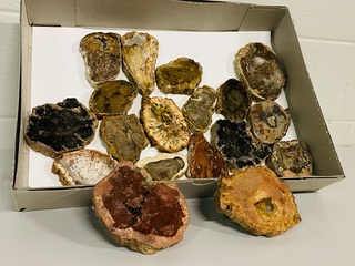 Ca. 18x Versteend hout plakken