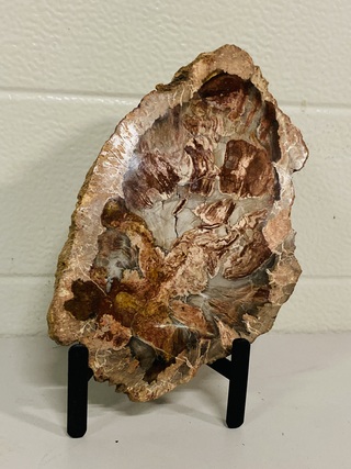 Versteend hout plak met standaard