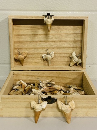 Ca. 50x Haaientand hangers