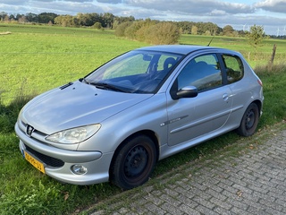 Personenauto Peugeot, 206, grijs, bouwjaar 9-2004