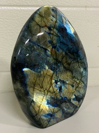 Labradoriet vrije vorm