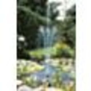 Elimax 9000 Fonteinpomp, Ubbink