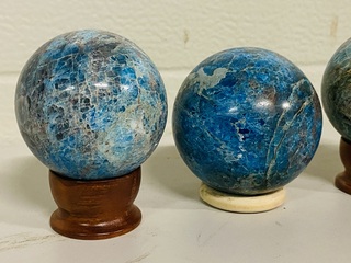 4 Apatiet bollen Blauw