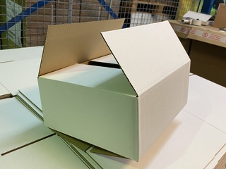 Ca. 800x Verzenddozen 305x255x123mm zware enkelgolf, wit