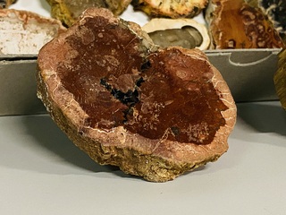 Ca. 18x Versteend hout plakken