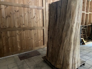 Decoratieve eiken boomstam