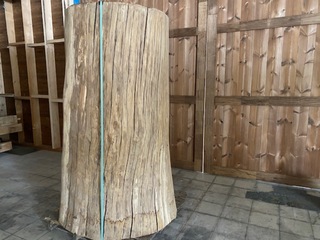 Decoratieve eiken boomstam