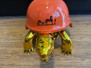 Turtle sculptuur, Lior24