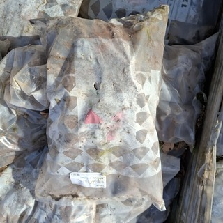 15x Zak lavasteen a 17 liter RedSun