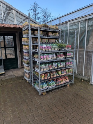 2x Deense kar met diverse planten in pot