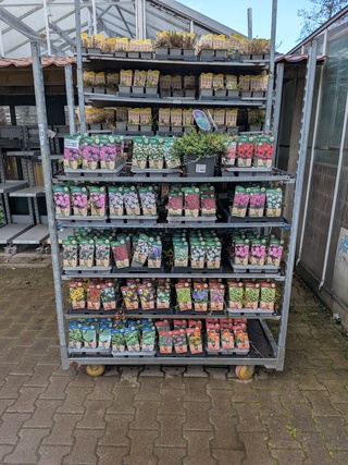 2x Deense kar met diverse planten in pot