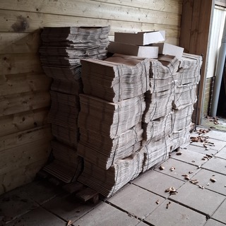 Partij kwekerijdozen