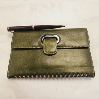 Elysee Capitol 18kt GP balpen inclusief leren Claudio Ferrici notitieb