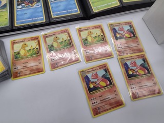 Grote Pokémon verzameling