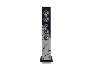 Ices IBT6 NY Liberty Speaker toren Zwart Grijs