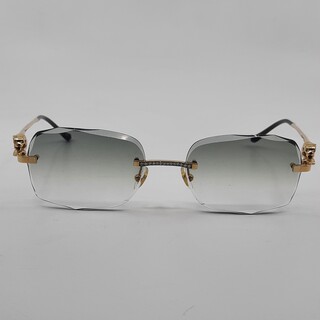 Bril montuur, Cartier, CT0281O