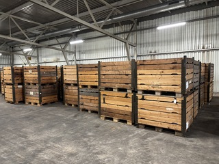 Ca. 2000x Zitkussen, DAF