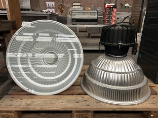 2x Industriële lamp