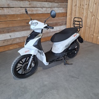 Snorscooter, BTC, Trevis 25KM/H 4T, Wit, 2016