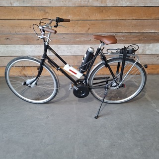 Elektrische fiets, Roetz, Vigour + road ladies