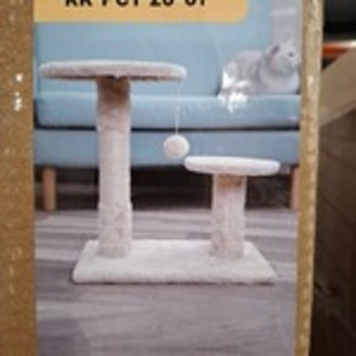 2x Krabpaal kat / kitten, 2025