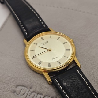 Citizen 2020 Riviére horloge