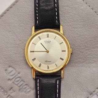 Citizen 2020 Riviére horloge