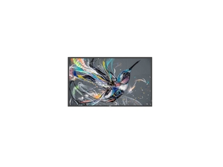 Philips 32BDL3511Q/00 FHD 32 DLED VA Monitor