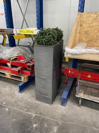 2x Plantenbak met plant, antraciet