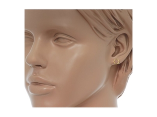 The Jewelry Collection Oorknoppen Cirkel  Geelgoud