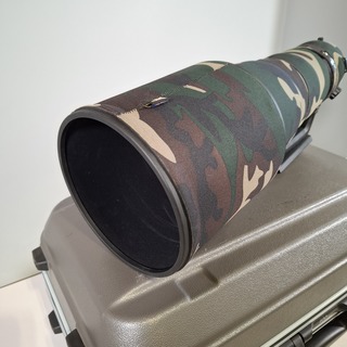 Camera lens, Nikon, AF-S Nikor 400mm 1:2.8E FL ED