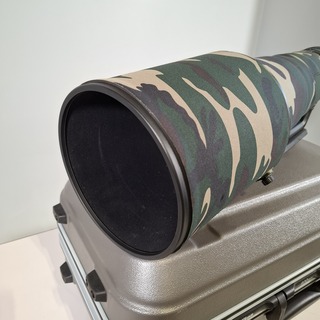 Camera lens, Nikon, AF-S Nikor 600mm 1:4E FL ED