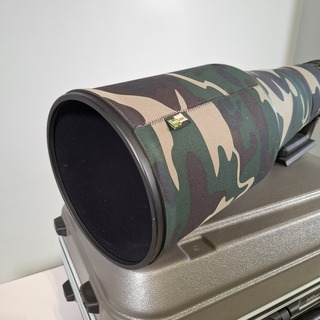 Camera lens, Nikon, AF-S Nikor 600mm 1:4E FL ED