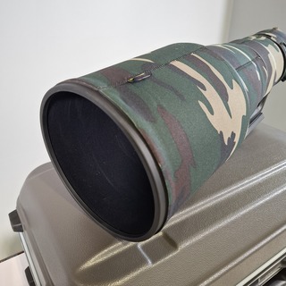 Camera lens, Nikon, AF-S Nikor 400mm 1:2.8E FL ED