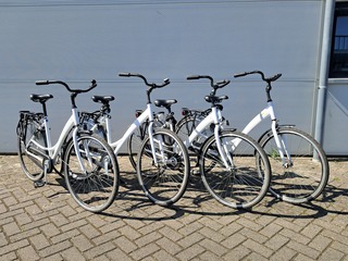 4x Damesfiets, Wit