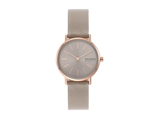 Skagen Signatur Lille SKW3060 Dameshorloge Grijs