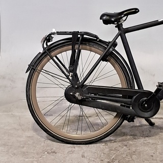 Herenfiets, Gazelle, Esprit