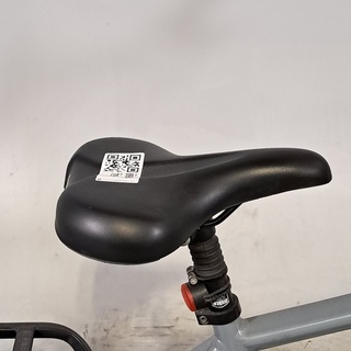 Elektrische herenfiets, Forza, Bologna